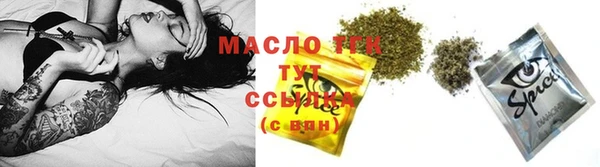 2c-b Гусев