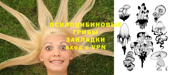 соль курить ск Гусь-Хрустальный