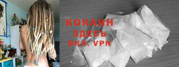 2c-b Гусев