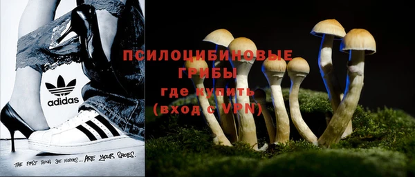 соль курить ск Гусь-Хрустальный