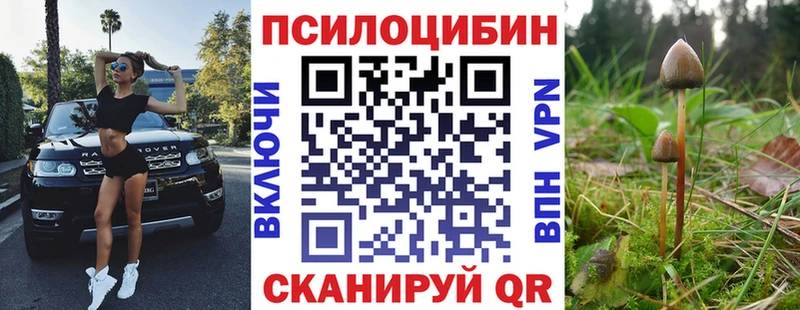 Галлюциногенные грибы Psilocybe  Купить закладки  Электросталь 